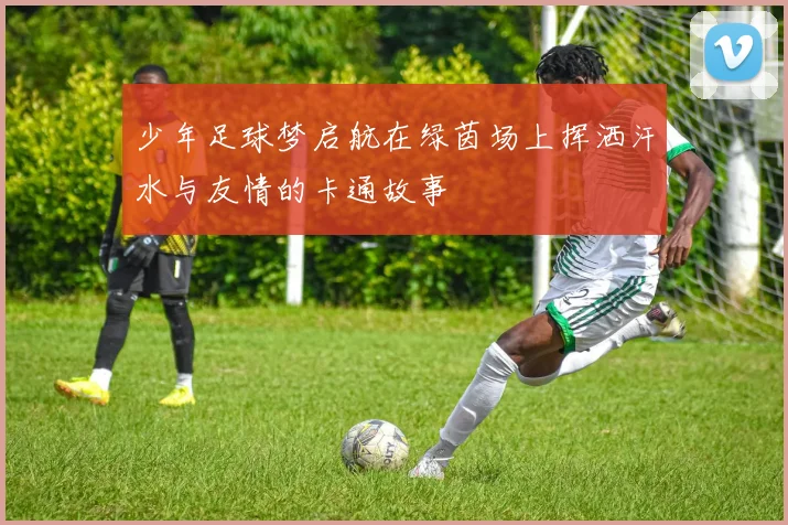 少年足球梦启航在绿茵场上挥洒汗水与友情的卡通故事