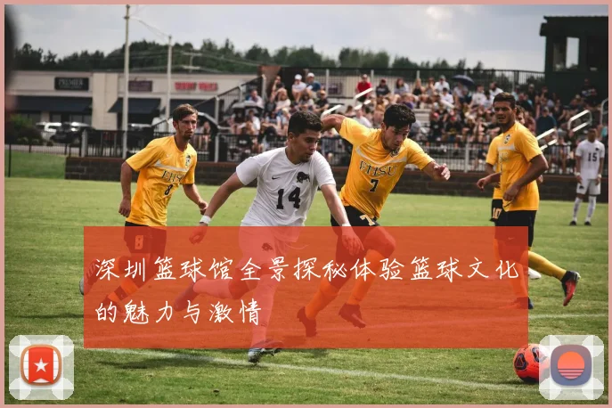 深圳篮球馆全景探秘体验篮球文化的魅力与激情