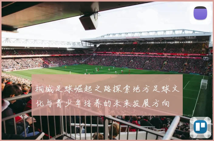 桐城足球崛起之路探索地方足球文化与青少年培养的未来发展方向
