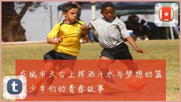 在城市天台上挥洒汗水与梦想的篮球少年们的青春故事