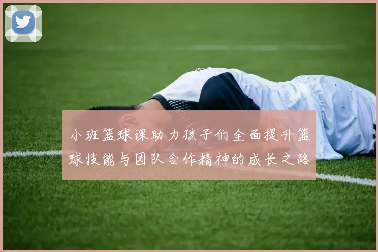 小班篮球课助力孩子们全面提升篮球技能与团队合作精神的成长之路