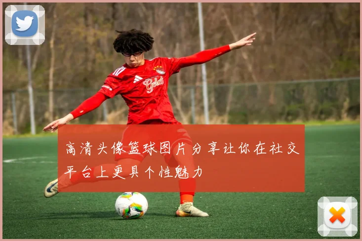 高清头像篮球图片分享让你在社交平台上更具个性魅力