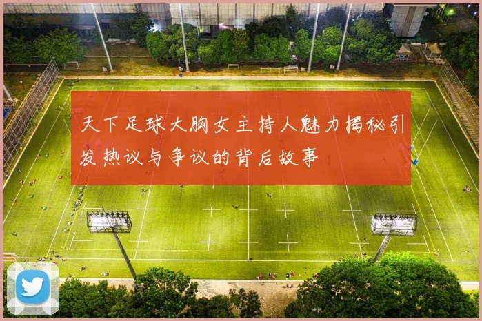 天下足球大胸女主持人魅力揭秘引发热议与争议的背后故事