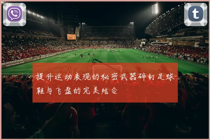 提升运动表现的秘密武器碎钉足球鞋与飞盘的完美结合